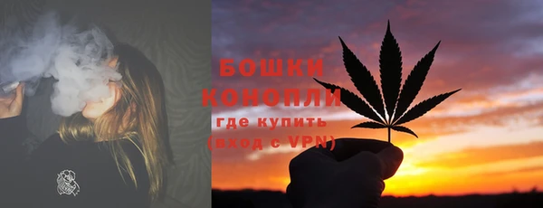 сатива Армянск