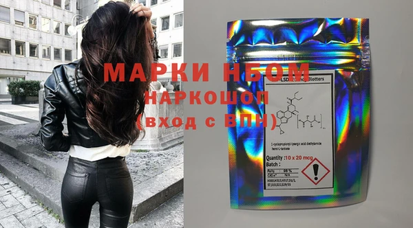 индика Аркадак