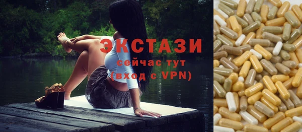 индика Аркадак