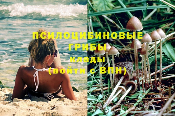 сатива Армянск