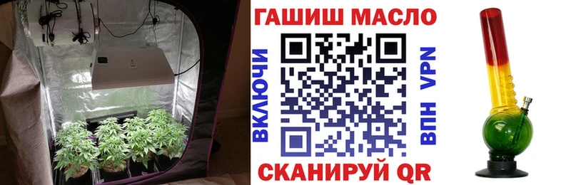 ТГК THC oil  купить наркотик  Малгобек 