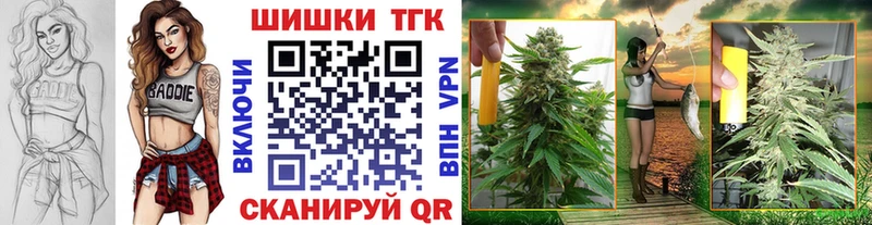 Бошки марихуана сатива  где купить наркотик  Малгобек 